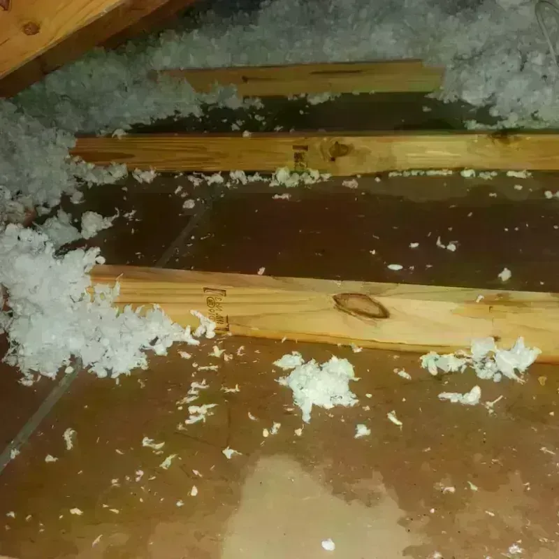 Attic Water Damage in Ludington, MI