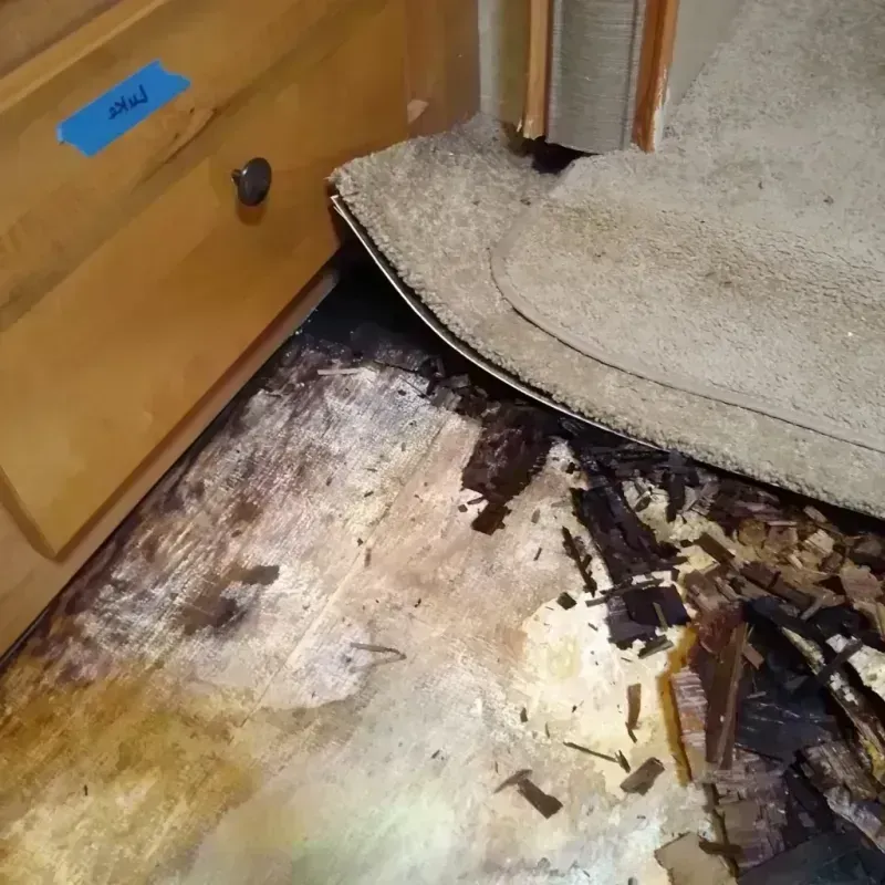 Wood Floor Water Damage in Ludington, MI